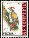 Colnect-2890-977-Abyssinian-Woodpecker-Dendropicos-abyssinicus.jpg