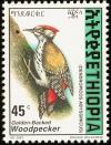 Colnect-2890-995-Abyssinian-Woodpecker-Dendropicos-abyssinicus.jpg