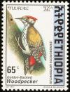 Colnect-2890-999-Abyssinian-Woodpecker-Dendropicos-abyssinicus.jpg