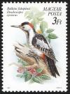 Colnect-3546-520-Syrian-Woodpecker-Dendrocopos-syriacus.jpg