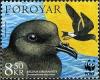 Colnect-518-883-Leach--s-Storm-Petrel-Oceanodroma-leucorhoa-.jpg