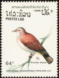 Colnect-1614-673-Mountain-Imperial-Pigeon-Ducula-badia.jpg
