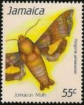Colnect-2758-609-Moth-Perigonia-jamaicensis.jpg
