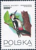 Colnect-4875-074-Syrian-Woodpecker-Dendrocopos-syriacus.jpg