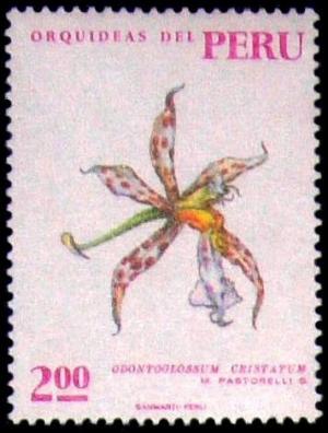 Colnect-1430-707-Peruvian-orchids.jpg