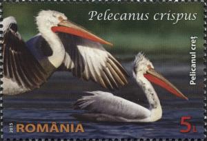 Colnect-2915-301-Dalmatian-Pelican-Pelecanus-crispus.jpg