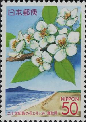 Colnect-3994-320-Blossoms-of-Japanese-Pear--amp--Yumigahama-beach---Tottori.jpg