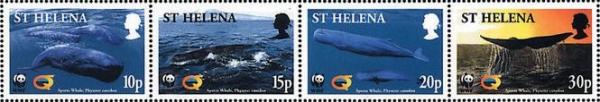 Colnect-1661-850-WWF-Sperm-Whale-strip-of-4.jpg