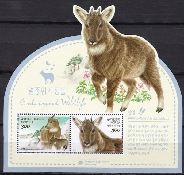 Colnect-4430-309-Endangered-Species--Korean-Mountain-Goat.jpg