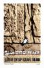 Colnect-5126-639-Paper-prayer-for-peace-in-Crevice-of-Western-Wall.jpg