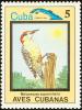 Colnect-3564-325-West-Indian-Woodpecker-Melanerpes-superciliaris.jpg