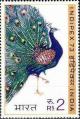 Colnect-1523-312-Common-Peacock-Pavo-cristatus.jpg