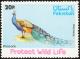 Colnect-2011-439-Indian-Peafowl-Pavo-cristatus.jpg