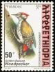 Colnect-2890-996-Abyssinian-Woodpecker-Dendropicos-abyssinicus.jpg