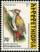 Colnect-2891-000-Abyssinian-Woodpecker-Dendropicos-abyssinicus.jpg