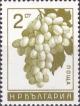 Colnect-3185-104-Grapes-Vitis-vinifera.jpg
