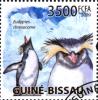 Colnect-3763-699-Southern-Rockhopper-Penguin-Eudyptes-chrysocome.jpg