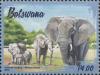 Colnect-4516-480-Elephants-in-Botswana.jpg