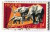 Colnect-543-310-African-Elephants-Loxodonta-africana.jpg