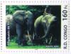 Colnect-552-862-African-Forest-Elephant-Loxodonta-africana-cyclotis.jpg