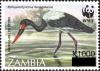 Colnect-5948-291-Saddle-billed-Stork-Ephippiorhynchus-senegalensis-overprin.jpg