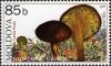 Colnect-737-325-Gold-leaf-Phylloporus-rhodoxanthus.jpg