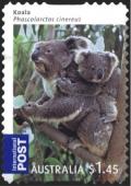 Colnect-1537-966-Koala-Phascolarctos-cinereus.jpg