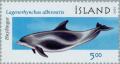 Colnect-165-412-White-beaked-Dolphin-Lagenorhynchus-albirostris.jpg