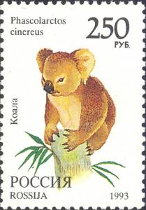 Colnect-2811-719-Koala-Phascolarctos-cinereus.jpg