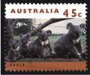 Colnect-1472-370-Koala-Phascolarctos-cinereus.jpg