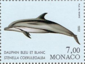 Colnect-149-541-Striped-Dolphin-Stenella-coeruleoalba.jpg