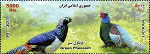 Colnect-1592-825-Green-Pheasant-Phasianus-colchicus-versicolor.jpg