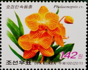 Colnect-2954-864-Phalaenopsis-sp.jpg