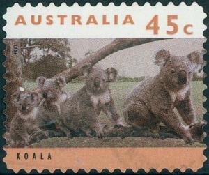 Colnect-3532-864-Koala-Phascolarctos-cinereus.jpg