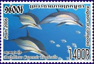 Colnect-3988-470-Arabian-Common-Dolphin-Delphinus-capensis-tropicalis.jpg