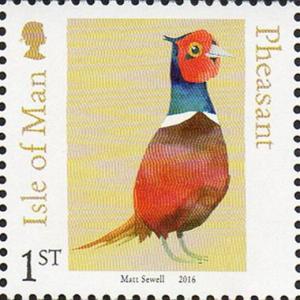 Colnect-4168-794-Ring-necked-Pheasant-Phasianus-colchicus.jpg