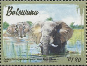 Colnect-4516-482-Elephants-in-Botswana.jpg