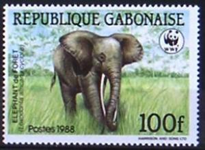 Colnect-551-302-African-Forest-Elephant-Loxodonta-africana-cyclotis.jpg