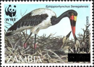 Colnect-5948-295-Saddle-billed-Stork-Ephippiorhynchus-senegalensis-overprin.jpg