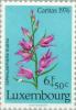 Colnect-134-365-Cephalanthera-rubra.jpg