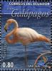Colnect-5837-363-Gal%C3%A1pagos-Flamingo-Phoenicopterus-ruber-glyphorhynchus.jpg