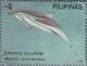 Colnect-2906-830-Striped-Dolphin-Stenella-coeruleoalba.jpg