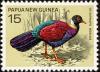 Colnect-1705-079-Pheasant-Pigeon-Otidiphaps-nobilis.jpg