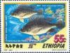 Colnect-3343-849-Nile-Tilapia-Oreochromis-niloticus.jpg