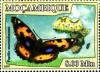Colnect-3470-909-Papilio-morondavana.jpg