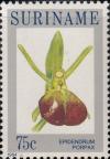 Colnect-3614-396-Epidendrum-porpax.jpg