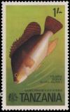 Colnect-5517-313-Nile-Tilapia-Oreochromis-niloticus.jpg