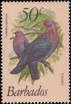 Colnect-578-226-Scaly-naped-Pigeon-Patagioenas-squamosa.jpg