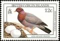 Colnect-2620-870-Red-necked-Pigeon-Patagioenas-squamosa.jpg
