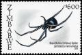 Colnect-5404-858-Black-Button-Spider-Latrodectus-renivulvatus.jpg
